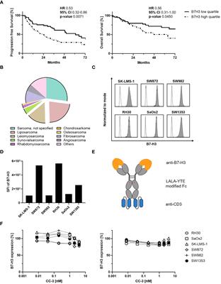 The bispecific B7H3xCD3 antibody CC-3 induces T cell immunity against bone and soft tissue sarcomas
